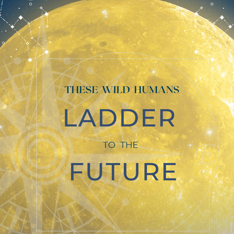 bonus-ladder-to-future-cover