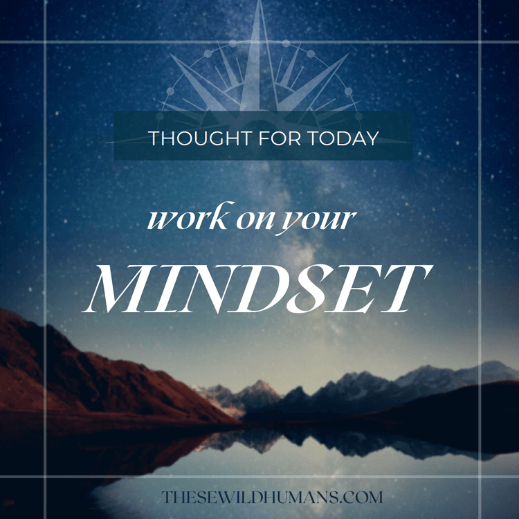 bonus-mindset-cover