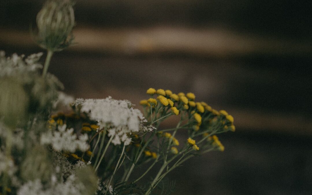 Our Thinking These Wild Humans