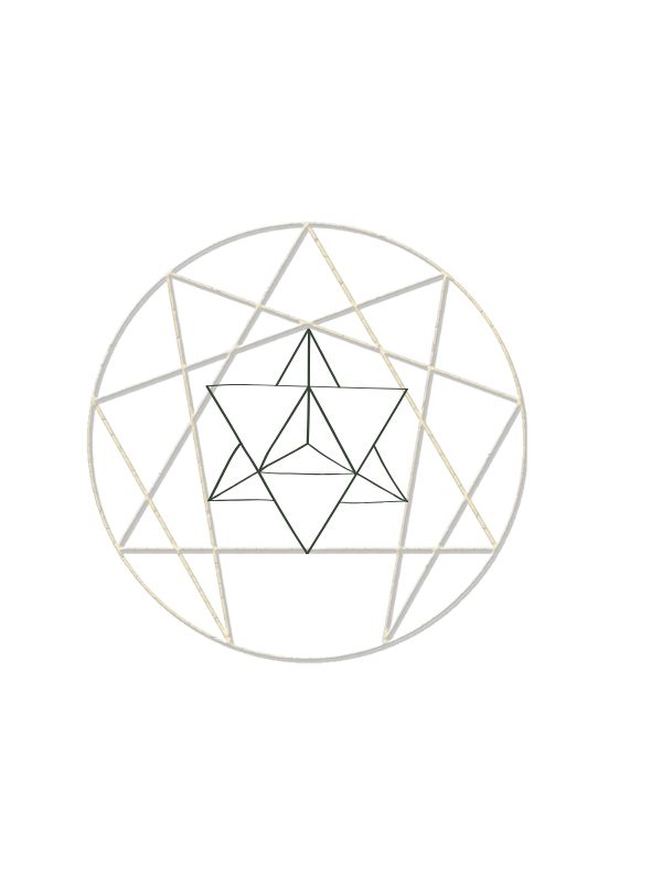 TWH New Icon 2025 Corner