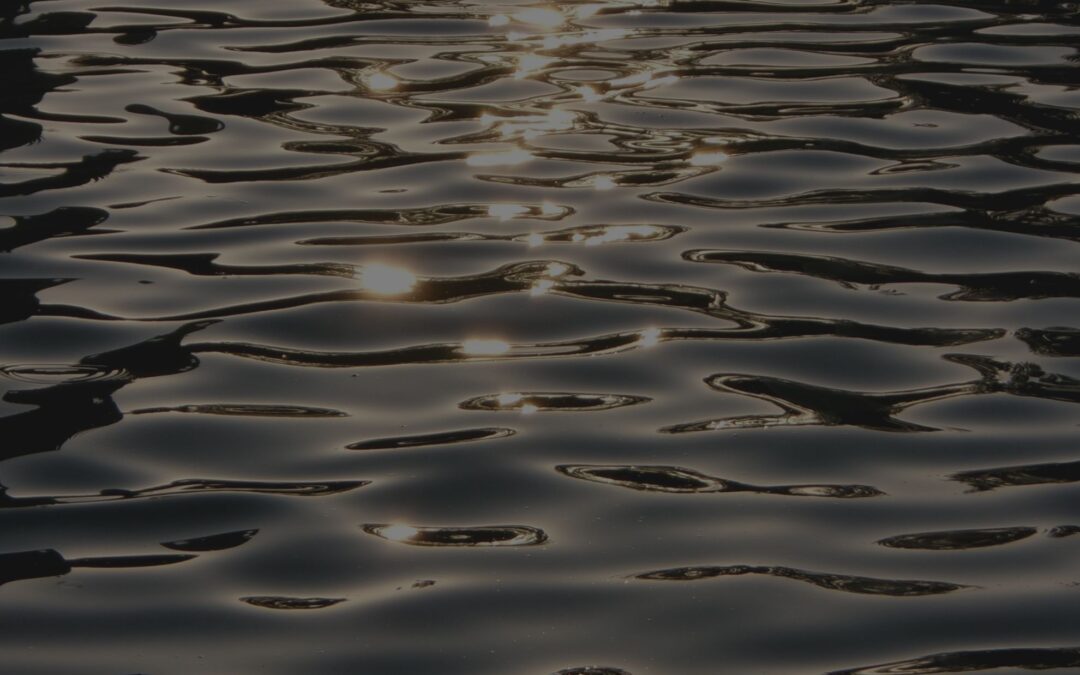 Our Work with Change & Integration